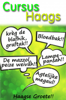 Cursus Plat Haags