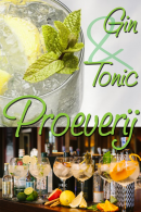 Gin Tonic proeverij in Den Haag